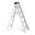 Industrial Ladders
