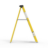 Y-Access FRP (Fiberglass) Single Sided Self Supporting Ladder